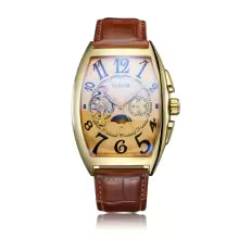 Elegance Luxe Mechanique S075 Men Automatic Watch Mechanical Luxury Tourbillon Skeleton Luminous