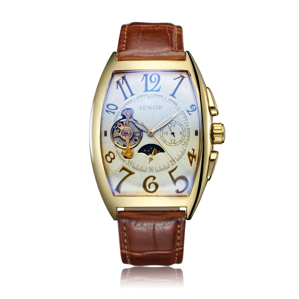 Elegance Luxe Mechanique S075 Men Automatic Watch Mechanical Luxury Tourbillon Skeleton Luminous