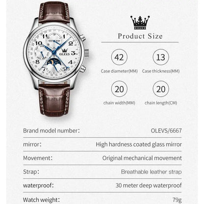 Elegance® 6667L Original Men's Automatic Wristwatch Moon Phase Calendar Waterproof Stainless Steel Leather Strap Mechanical Watch for Men