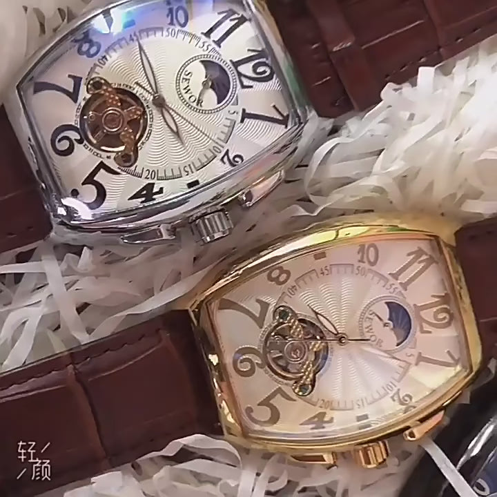 Elegance Luxe Mechanique S075 Men Automatic Watch Mechanical Luxury Tourbillon Skeleton Luminous